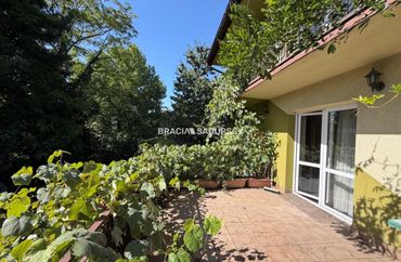 15962642 - zdjęcie ogłoszenia