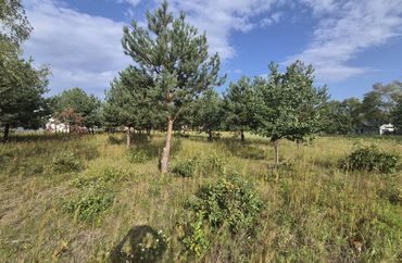 15962688 - zdjęcie ogłoszenia