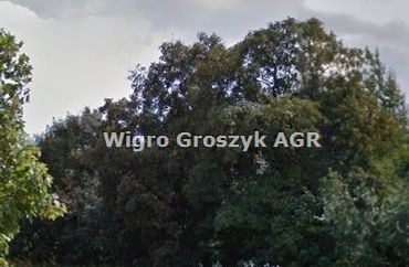 15962699 - zdjęcie ogłoszenia
