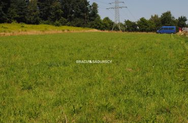 15962748 - zdjęcie ogłoszenia