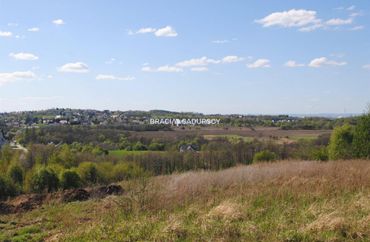 15962774 - zdjęcie ogłoszenia