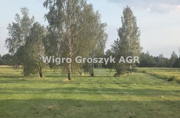15962794 - zdjęcie ogłoszenia
