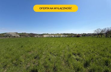 15962897 - zdjęcie ogłoszenia