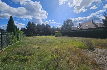 15962931 - zdjęcie ogłoszenia