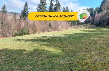 15963882 - zdjęcie ogłoszenia