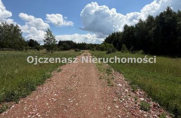 15964219 - zdjęcie ogłoszenia