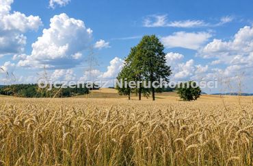 15964352 - zdjęcie ogłoszenia