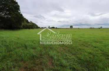 15964379 - zdjęcie ogłoszenia