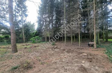 15964543 - zdjęcie ogłoszenia