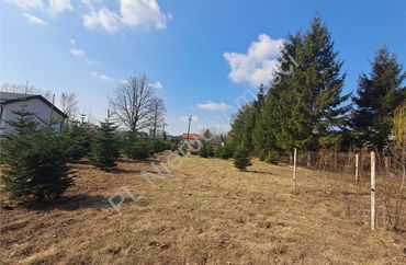 15964545 - zdjęcie ogłoszenia