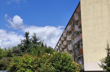 15964838 - zdjęcie ogłoszenia