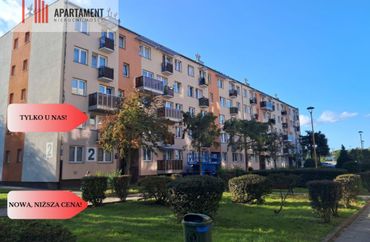 15964857 - zdjęcie ogłoszenia