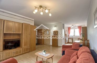 15964864 - zdjęcie ogłoszenia