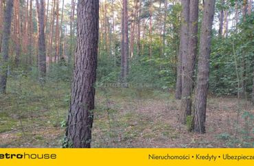 15965112 - zdjęcie ogłoszenia