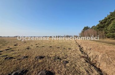 15965114 - zdjęcie ogłoszenia