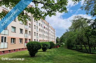 15965118 - zdjęcie ogłoszenia