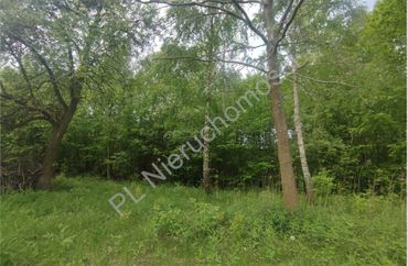 15965230 - zdjęcie ogłoszenia