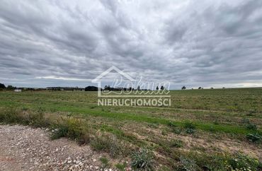 15965256 - zdjęcie ogłoszenia