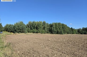 15965320 - zdjęcie ogłoszenia