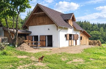 15965343 - zdjęcie ogłoszenia