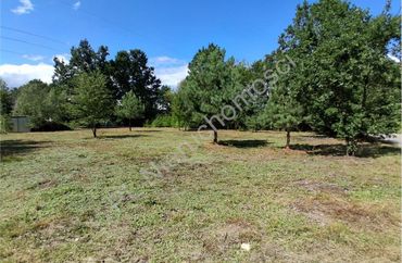15965662 - zdjęcie ogłoszenia