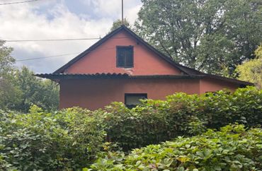 15965936 - zdjęcie ogłoszenia