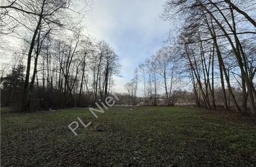 15966041 - zdjęcie ogłoszenia