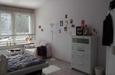 15966501 - zdjęcie ogłoszenia