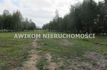 15966539 - zdjęcie ogłoszenia