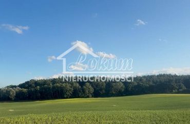 15966543 - zdjęcie ogłoszenia