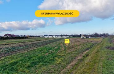 15966606 - zdjęcie ogłoszenia