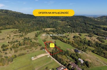 15966615 - zdjęcie ogłoszenia