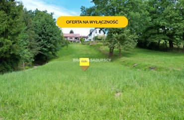 15966651 - zdjęcie ogłoszenia