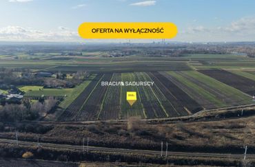 15966695 - zdjęcie ogłoszenia