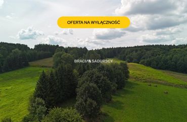 15966706 - zdjęcie ogłoszenia