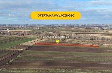 15966730 - zdjęcie ogłoszenia
