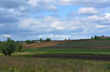 15966779 - zdjęcie ogłoszenia