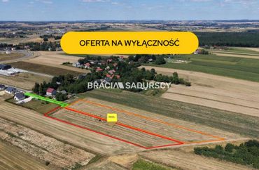 15966834 - zdjęcie ogłoszenia