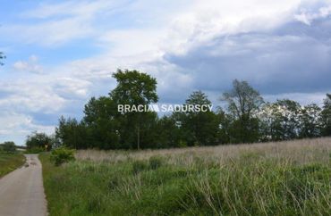 15966836 - zdjęcie ogłoszenia