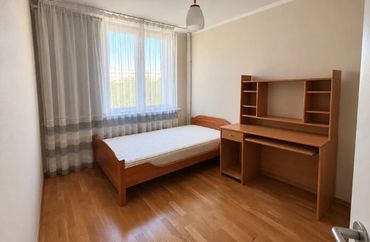 15966844 - zdjęcie ogłoszenia