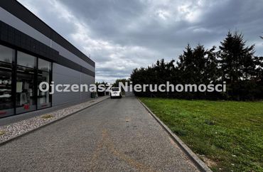 15966982 - zdjęcie ogłoszenia