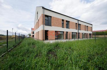 15967005 - zdjęcie ogłoszenia