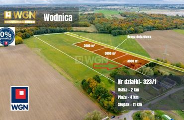 15967091 - zdjęcie ogłoszenia