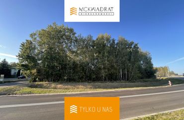 15967281 - zdjęcie ogłoszenia