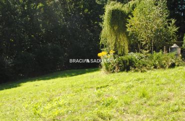 15967414 - zdjęcie ogłoszenia