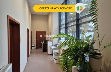 15967527 - zdjęcie ogłoszenia