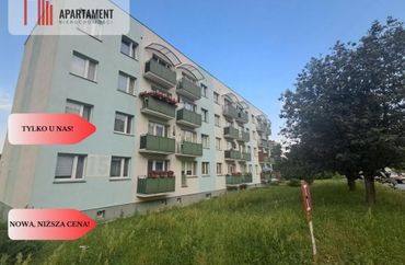 15967853 - zdjęcie ogłoszenia