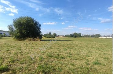 15967890 - zdjęcie ogłoszenia