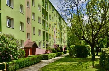 15968109 - zdjęcie ogłoszenia