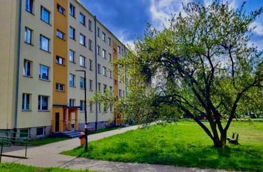 15968129 - zdjęcie ogłoszenia